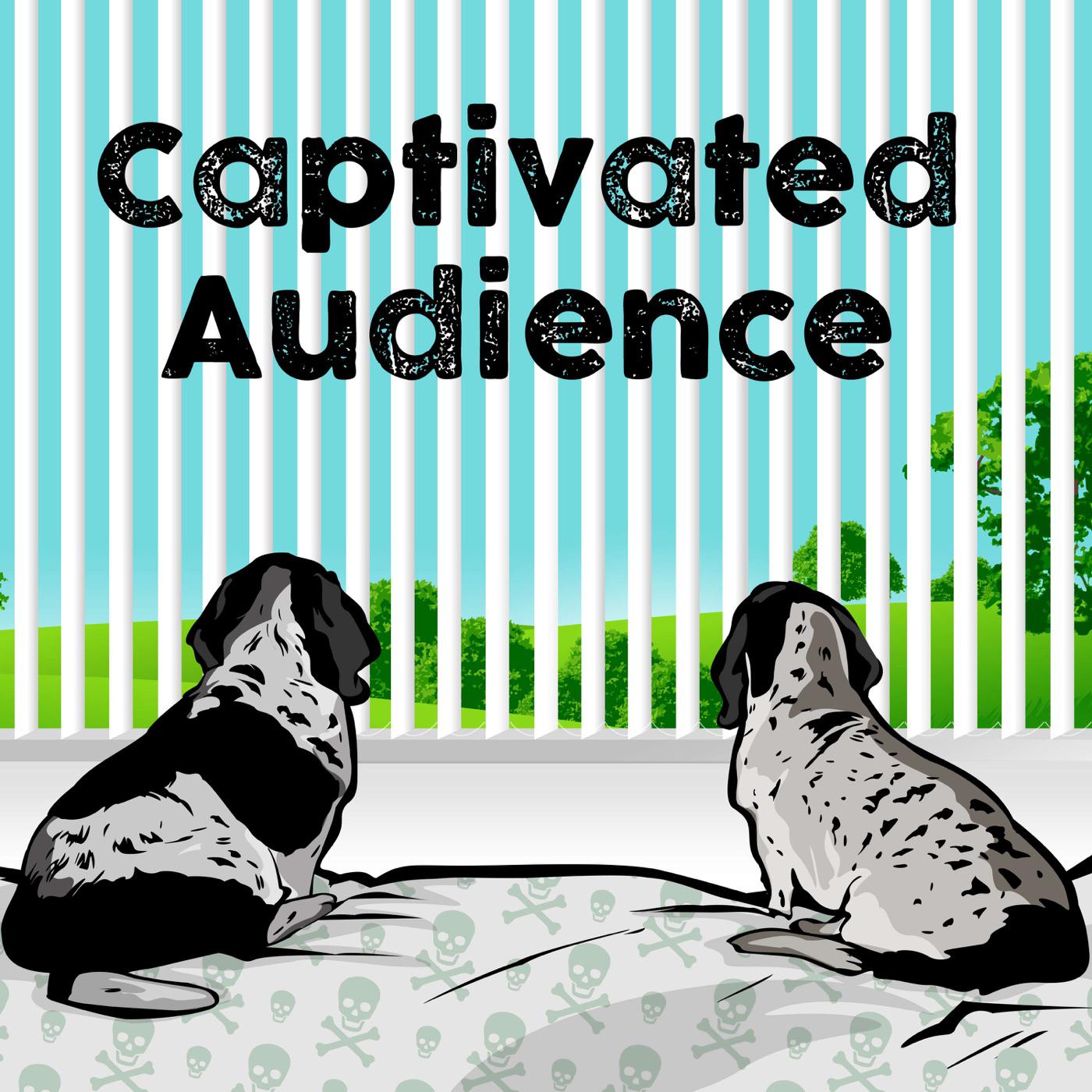 captivated-audience